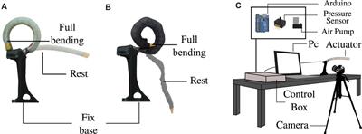 Assessment of Soft Actuators for Hand Exoskeletons: Pleated Textile Actuators and Fiber-Reinforced Silicone Actuators